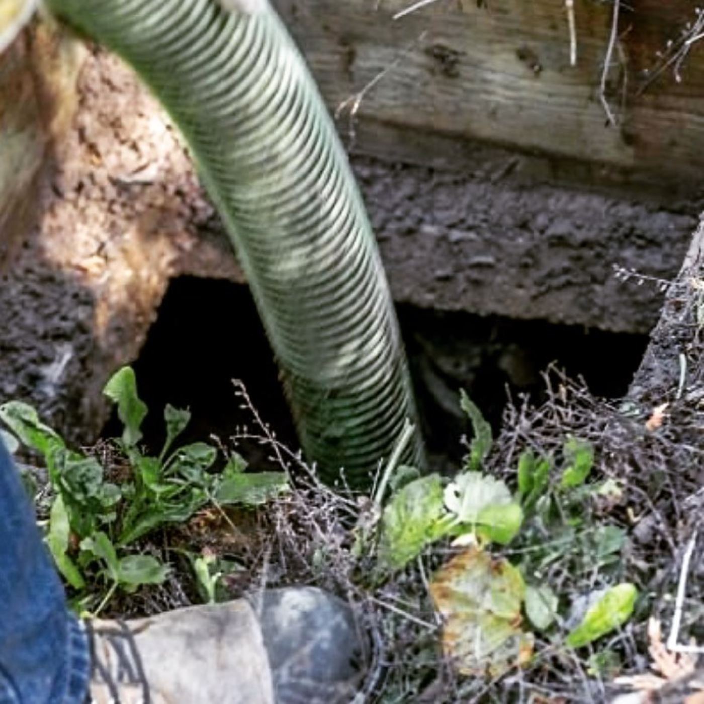 Vacuum hose in an open septic tank during a repair