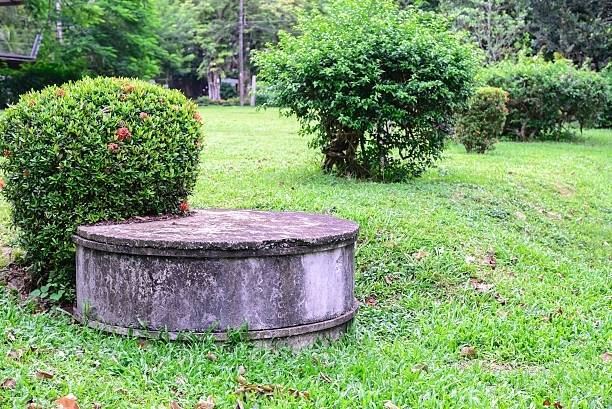 Concrete septic tank lid in a residential yard